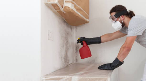 Professional Bathroom Mold Removal technician working in Quincy, IL