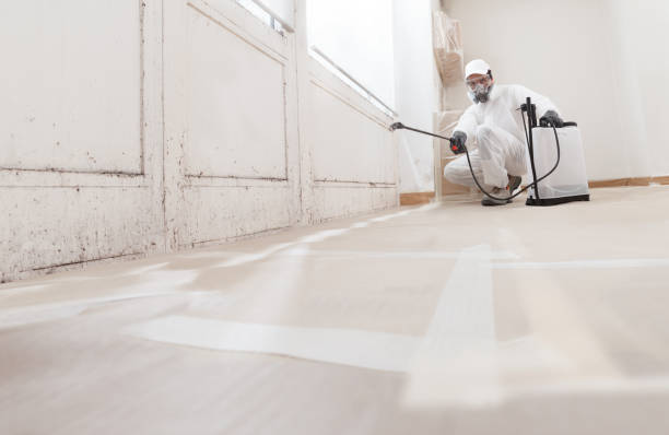 24/7 Emergency Bathroom Mold Removal experts in Quincy, IL