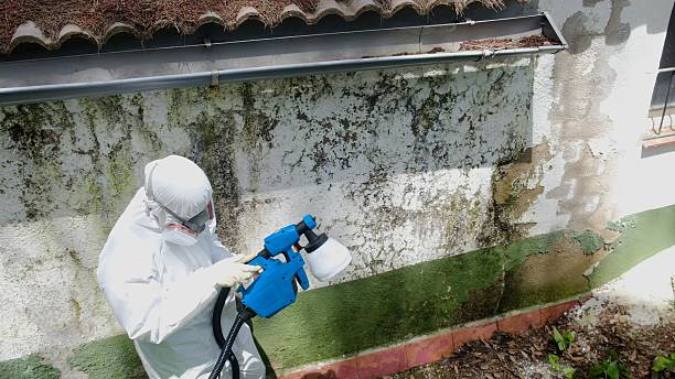 Top rated local Bathroom Mold Removal specialists in Quincy, IL